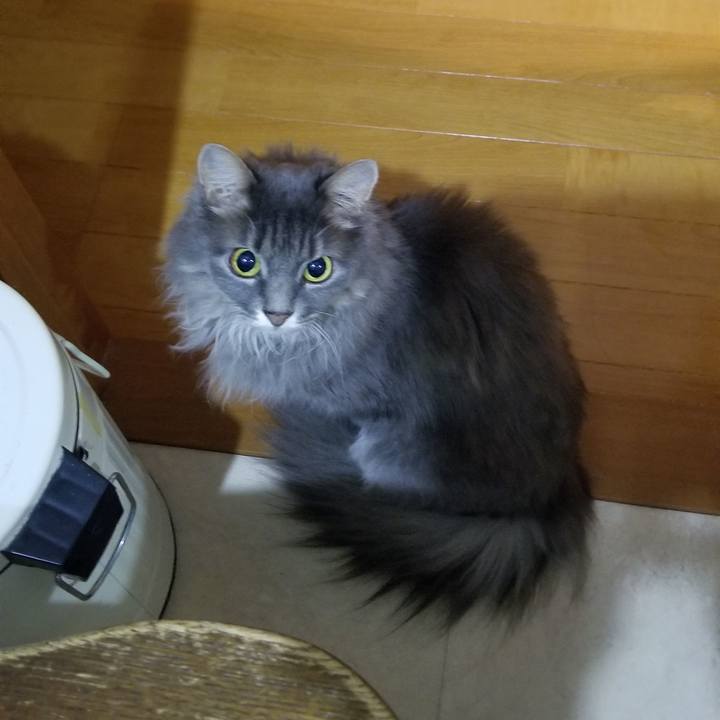 66807ebb 8e64 4b76 b125 39cf67bce299 1568730238290