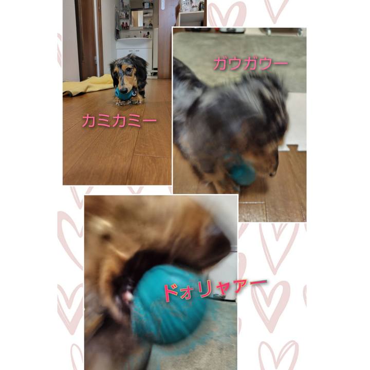 66809f9a 8788 4ce9 b087 29c4dda9bf80 1727355196375