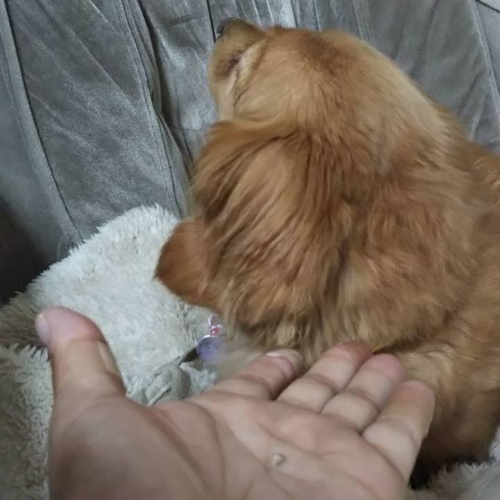 6680d0e2 d359 4251 8fb8 6d2a14ef3d72 1603835623780