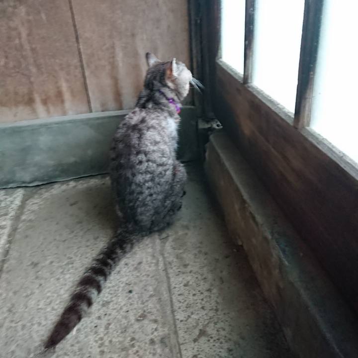 6680df08 adbb 4409 8b50 cc0740420afe 1596831131332