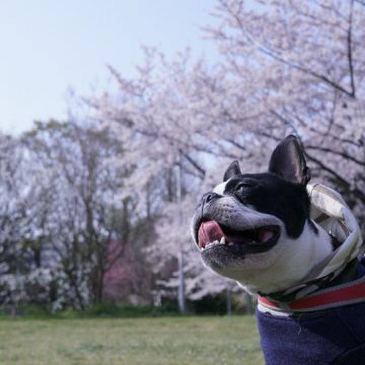 6680efb8 32e2 42c0 ab9b 60be2a1df095 1554608667829