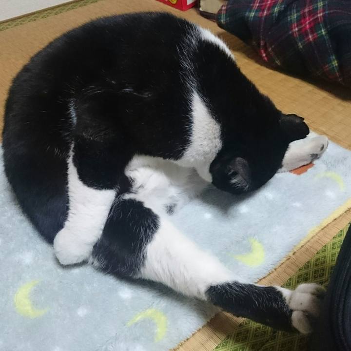 66812cae 74f9 41d9 942b 02a9ecd17897 1513598217915