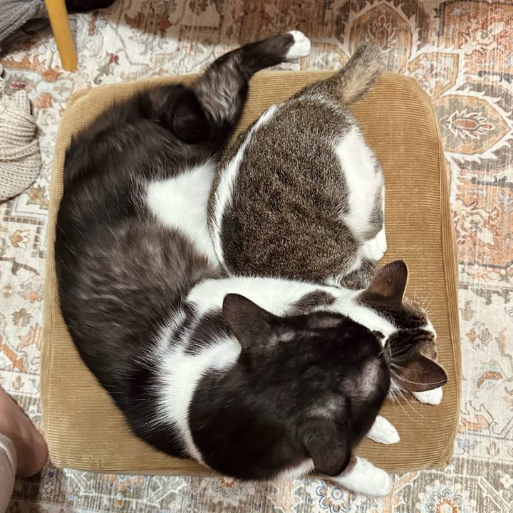 668134e5 342e 4c93 a52b e5158f1a2513 1776606016777