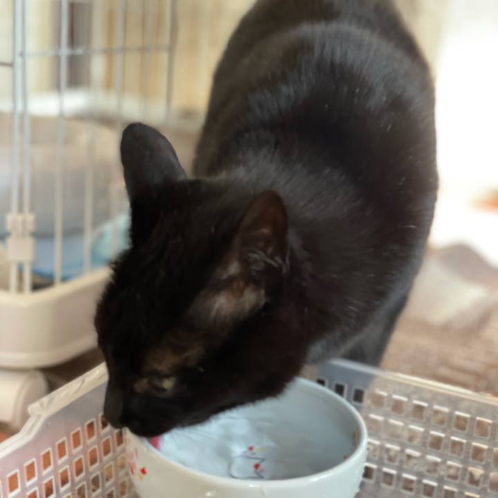 6681460c fd6a 4590 8d4e 85d36c9b70e9 1619139965864