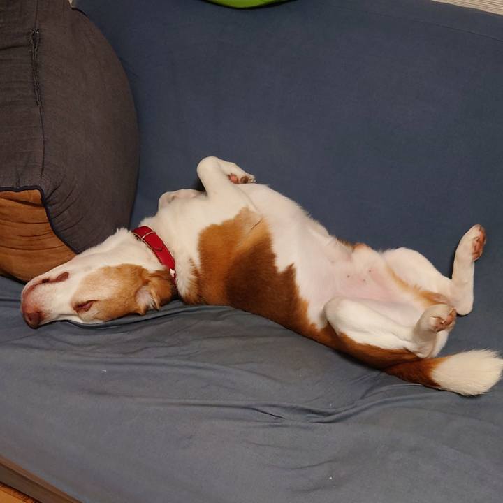 66815cfb dc82 481e a8ec 99a3ee3a8ada 1728311863316