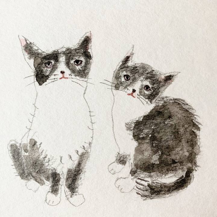 66816626 e016 44fe ac6a 1d367075c456 1590231061618