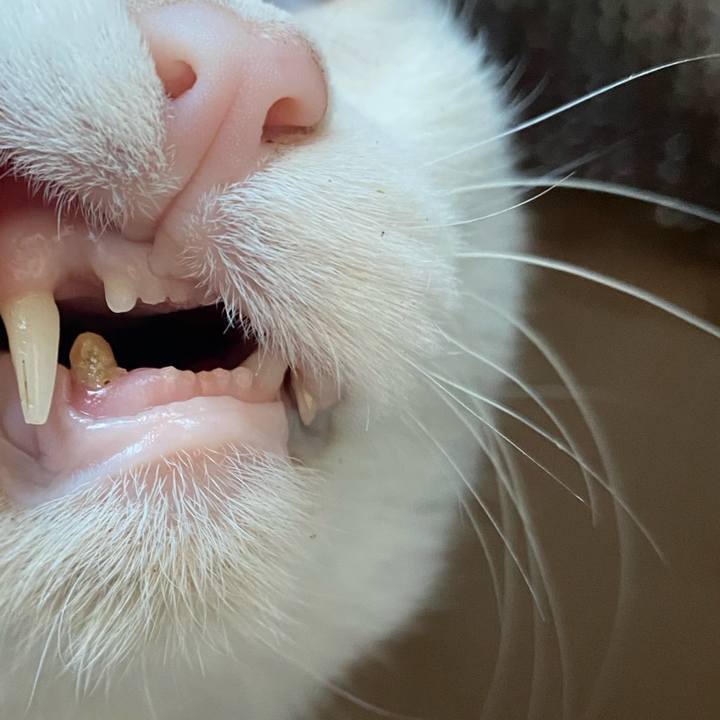 668171e8 335f 475a 80ca fdd3d2bc0e46 1639263503528