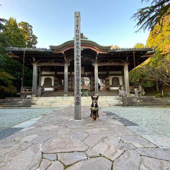 668172ad a429 46c1 ad33 64b5663190e2 1605180127769