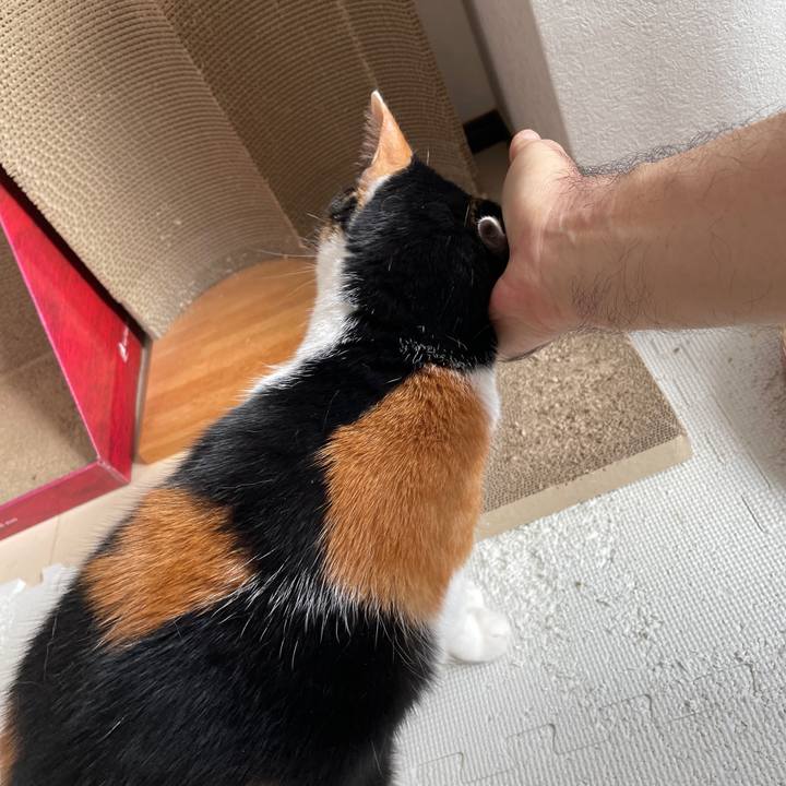 6681832c d97b 4d0b 9099 75ffcddc9fb7 1751584419074