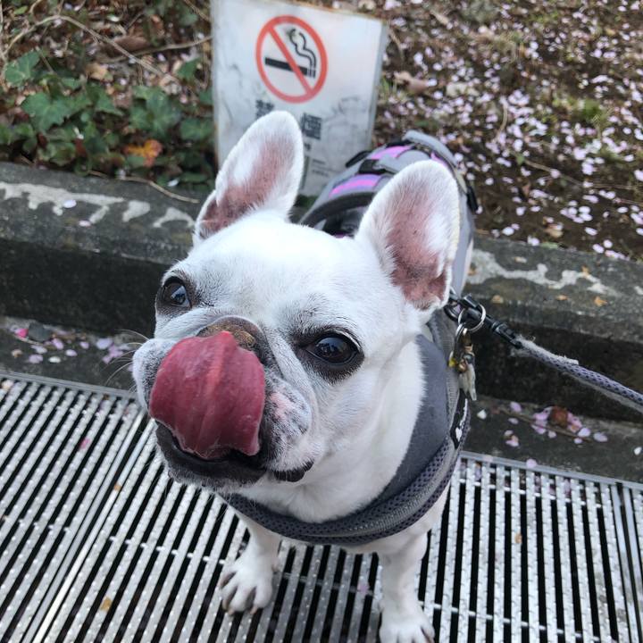 6681a665 07ec 4fa3 8b26 2f4cd381d0b8 1680344211348