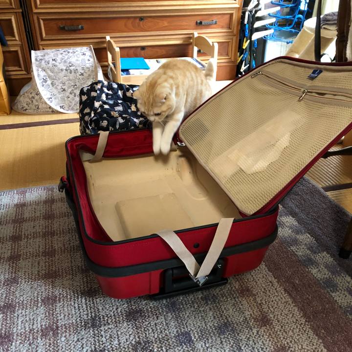 6681a9d9 f5bc 4783 ab52 c765a686d6fa 1557331333874