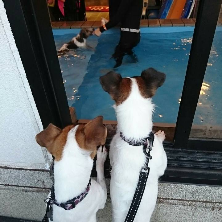 6681ac5b efea 4d52 906d 3d0920a47943 1540717056747