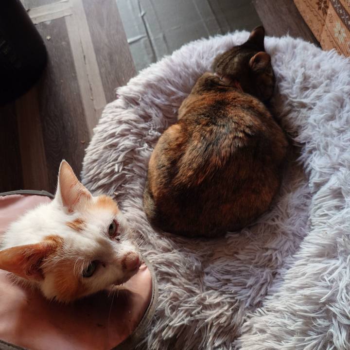 6681b1cb b22b 48a4 bf32 ee16820af720 1767957505678