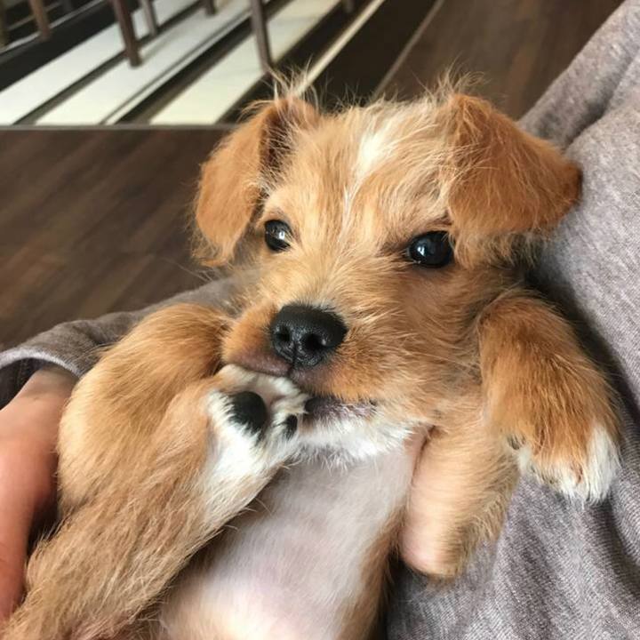 6681be92 3c77 4a48 8553 cb99e49d3915 1619096698967