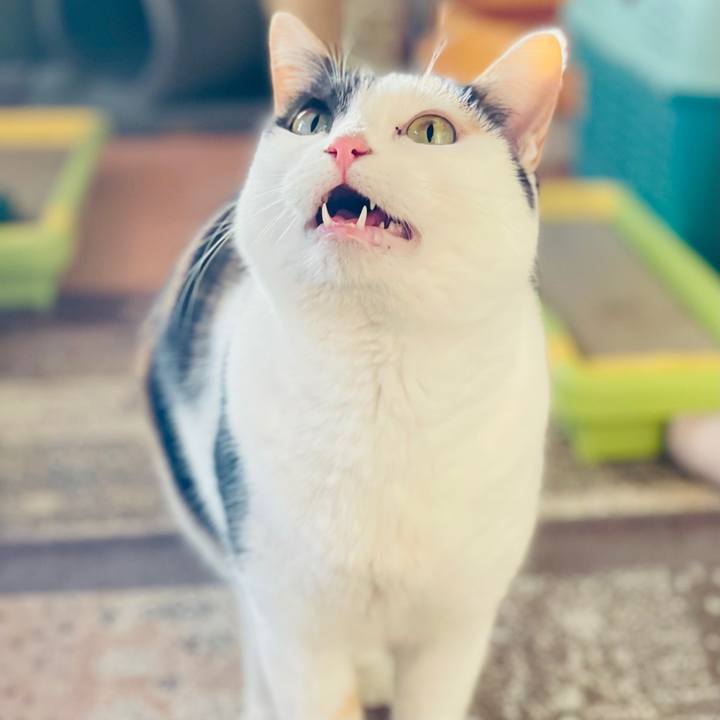 6681e3d0 7c65 44ae a279 ba4c02687015 1613009963740