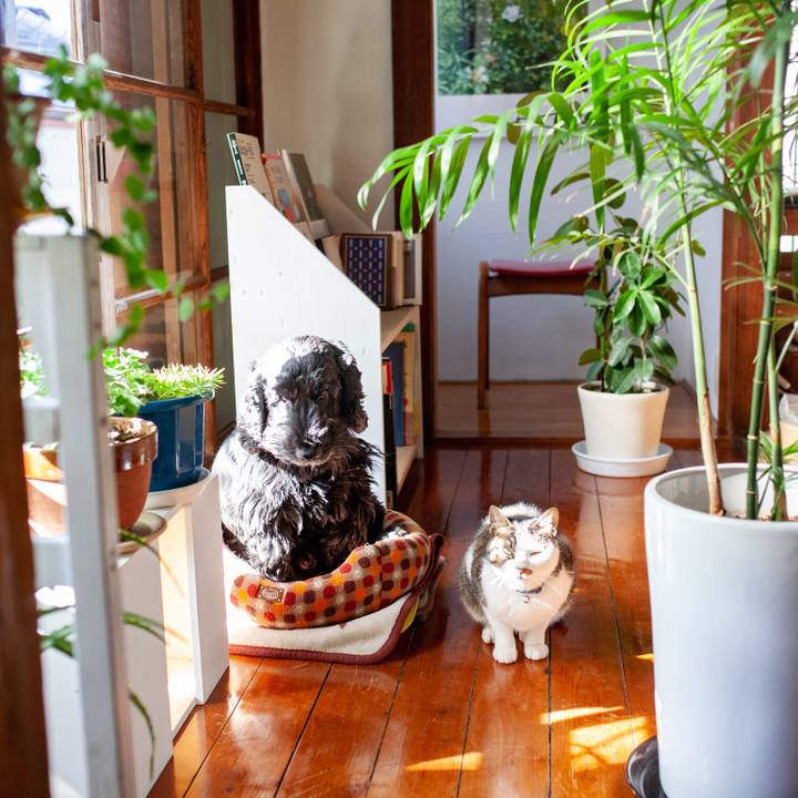 66828e45 19b9 4cf3 9c10 25e3fbaaf605 1548766135230