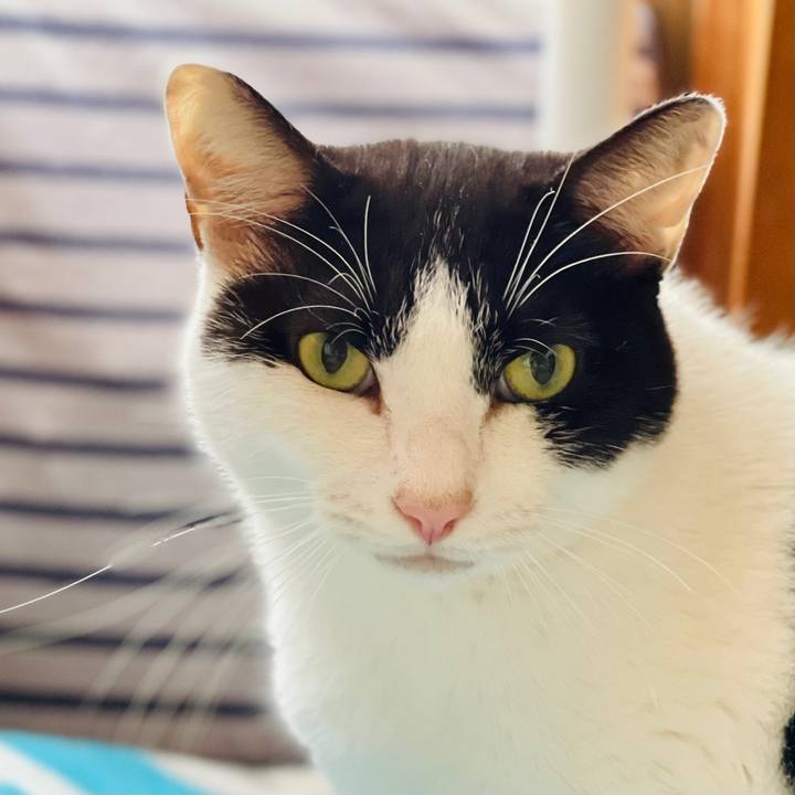 6682a2a4 c6b6 4fbf b424 f34710fe5304 1604714399813