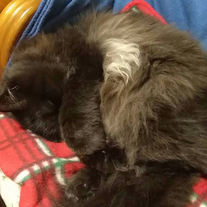 6682a966 3318 4ac5 99ba ff87f4c498d4 1541935296595