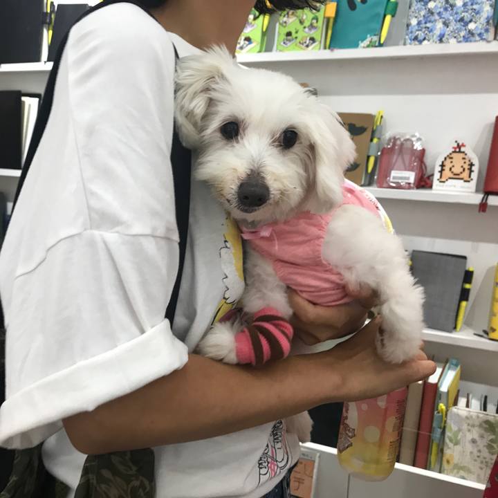 6682b752 9e05 4546 9e61 a5b23844f7a2 1535279573303