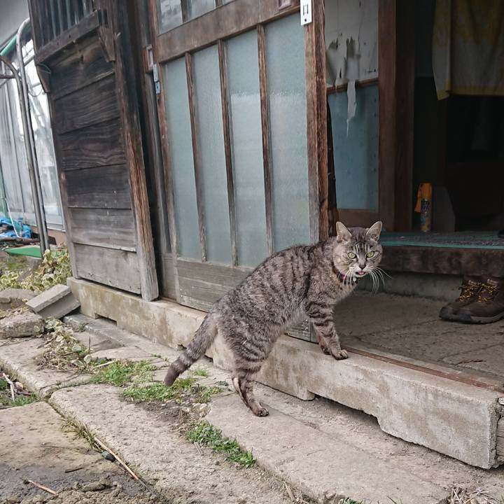 6682fbdd 8a77 4ee6 8bfa c48c198d8bef 1583646103909