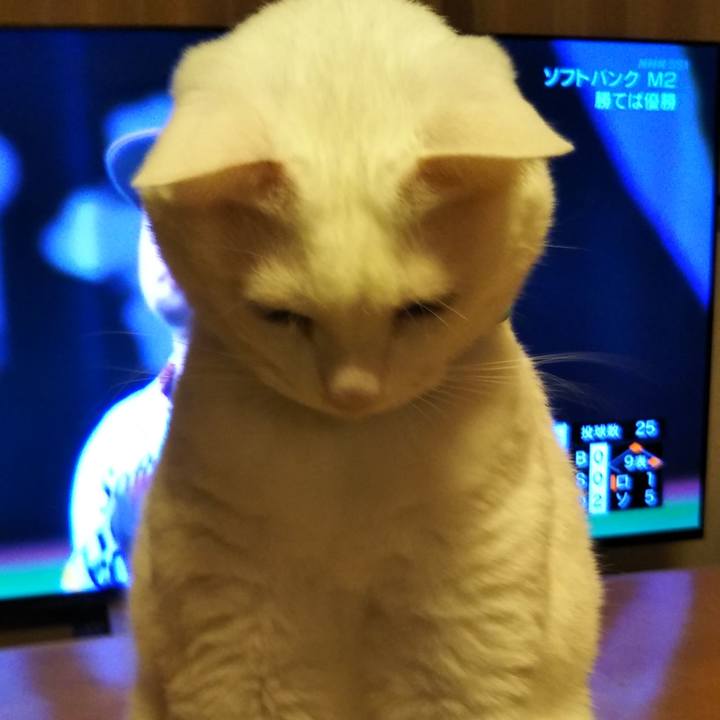 66833da7 457b 432b 86f3 0656d4e84892 1603801740111