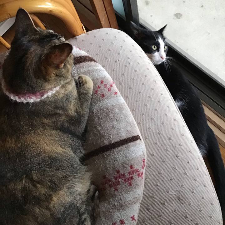 66835f68 ff7a 499c 9efe dfaf1df60532 1659865615478