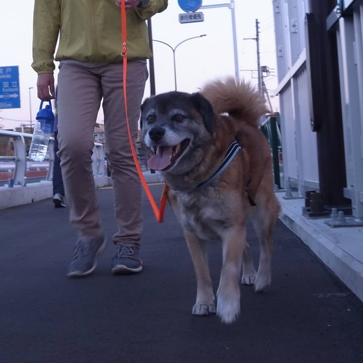 668371e7 9213 4cbe af16 66d868ef1563 1603584854133