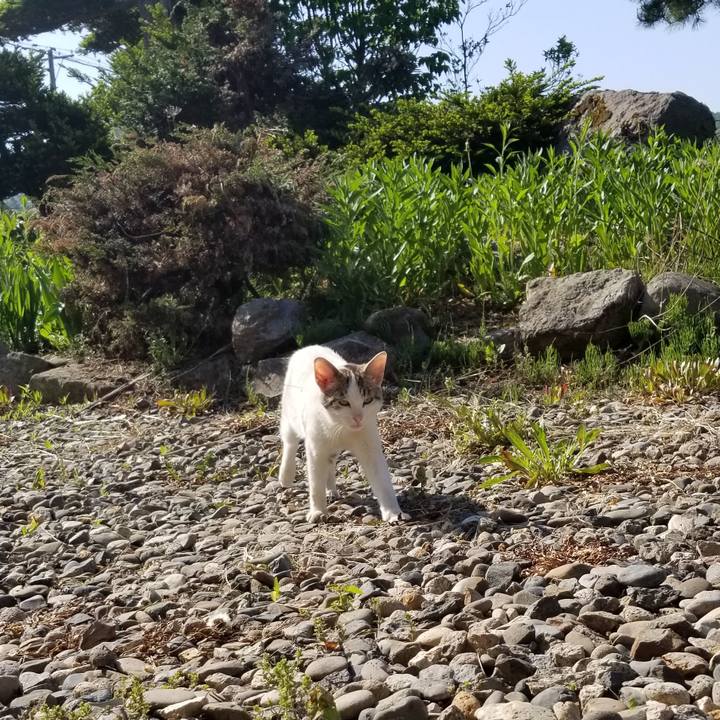 668374f5 b47b 4b92 b137 54d221ff41a0 1558917193092