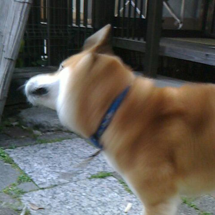 6683868d 9b5f 4d87 bb6e de91facbcbb9 1528616989215