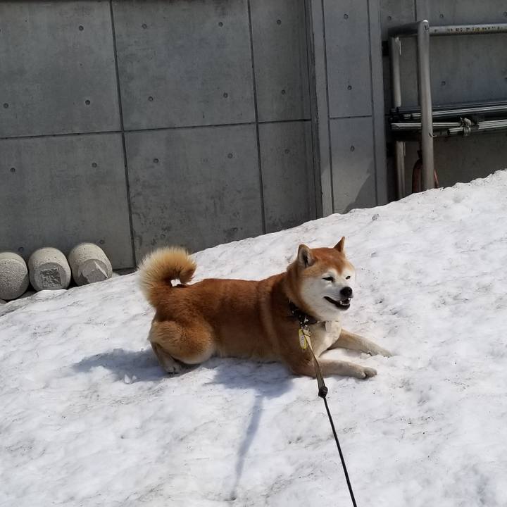 6683ce8b f47b 4484 a097 c9df7adbe6ec 1649219348843