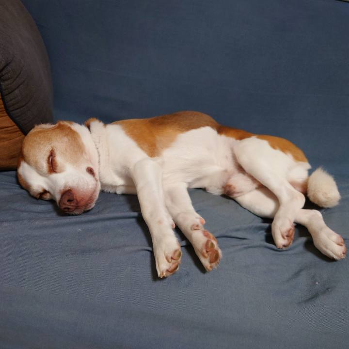 6683f5dd 79be 4b0b acd7 6098e2212a16 1728312993444