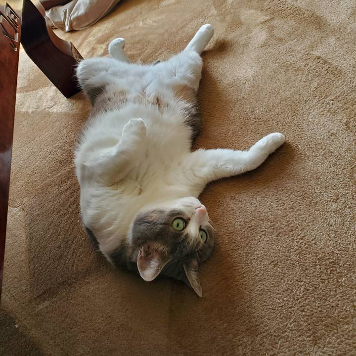 66842847 16e9 4592 b912 e6e8e23c7956 1714882867726