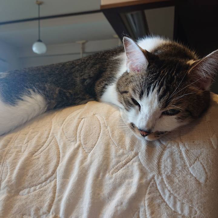 6684289c 9230 4df9 bad5 3ef60ca09522 1632618747310