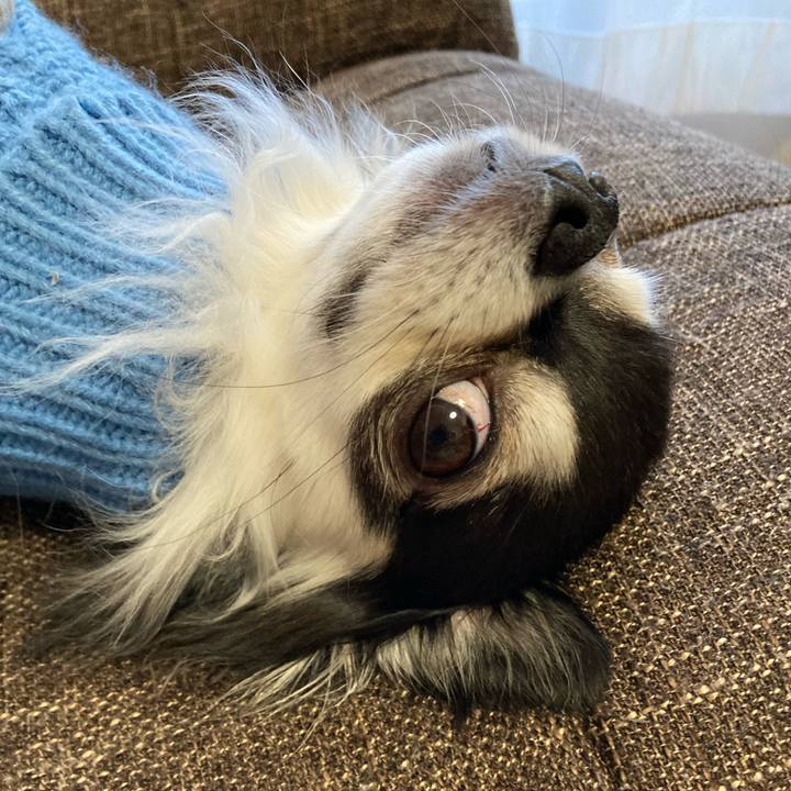 66844805 8fa1 42a9 be7c fcd33ec6d298 1704693067536