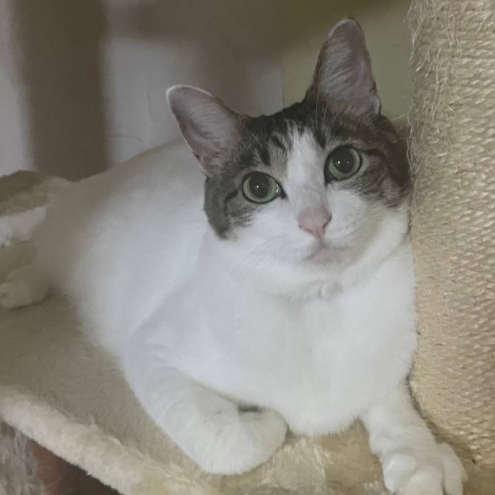 6684583a 0787 4306 a5af 8d0be1ff50b0 1666476400541