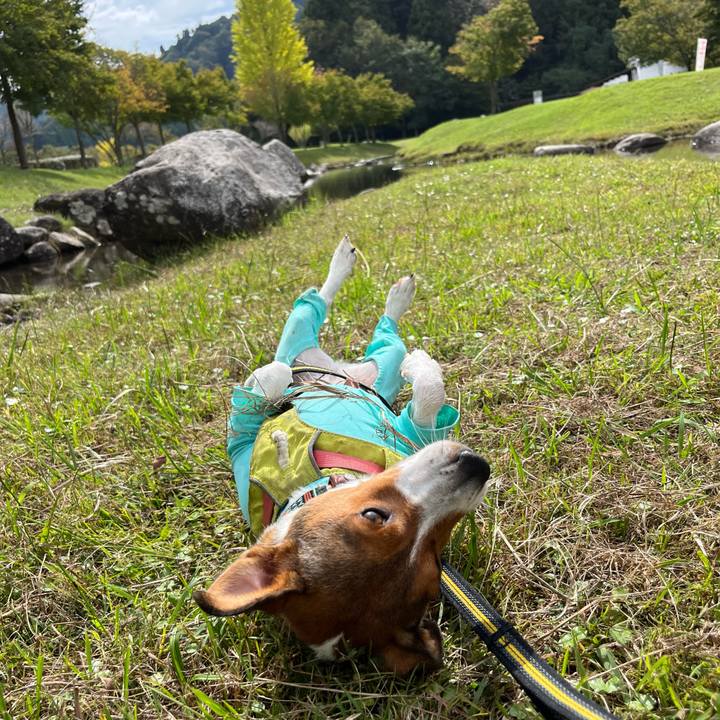 66845982 3513 4482 aacf 279ecb3cbe35 1760339944521