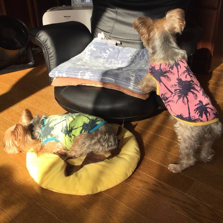 66850718 4e51 456a b1f1 fce96c40b64e 1548975716812