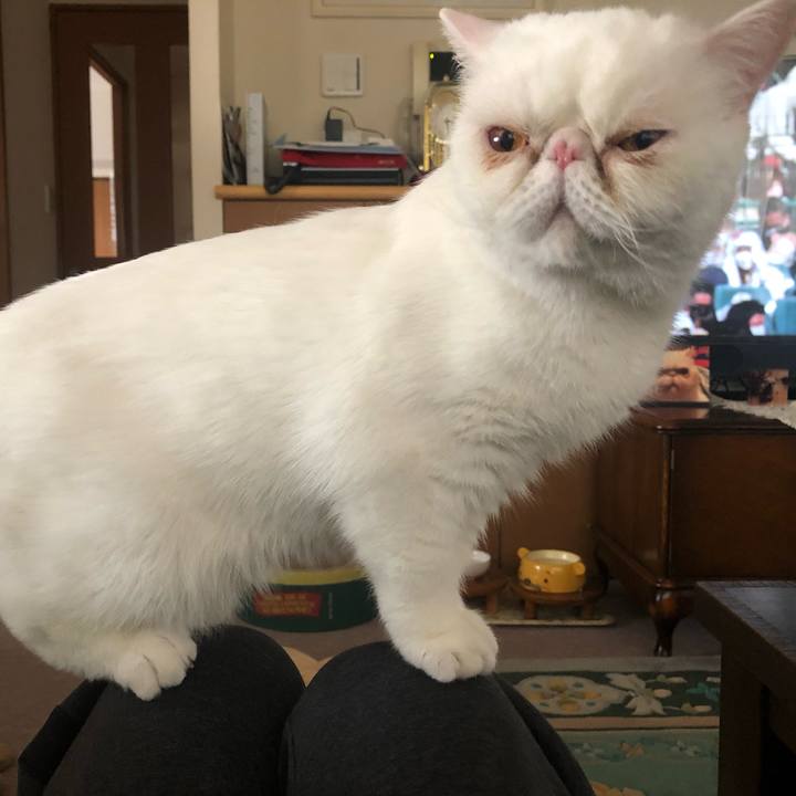 668509db 280e 4c92 8a94 3c03e19f34f0 1647843515864