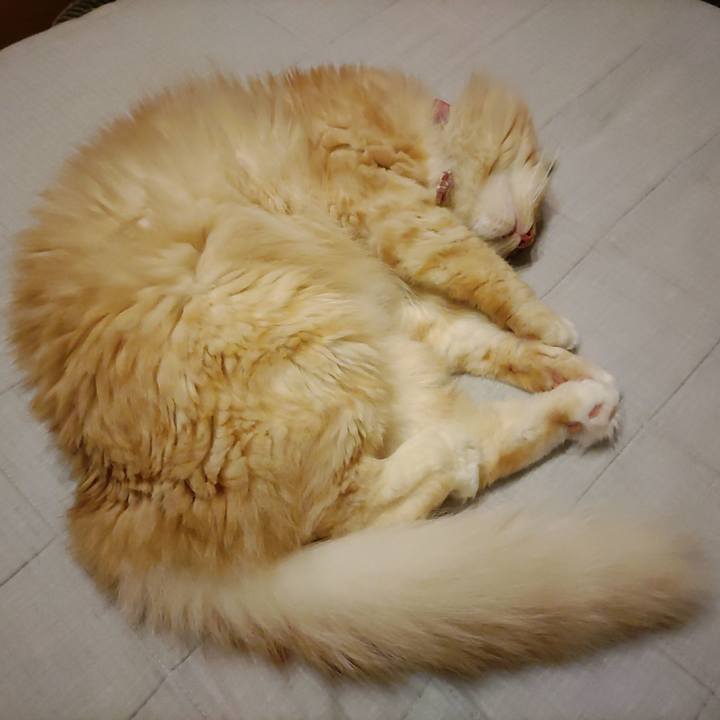 6685326c 60f6 4ae7 9c1c 809ec0fad916 1662556139015