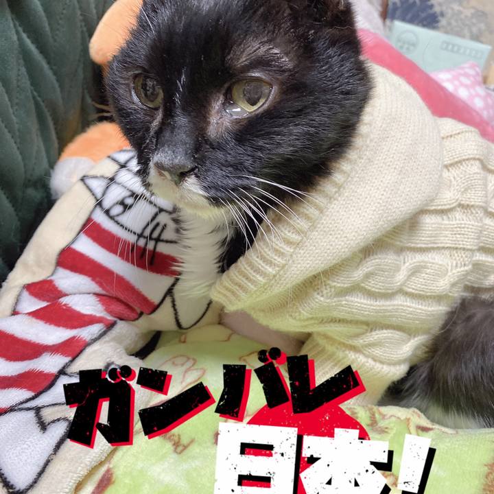 668566ae 4c8f 49a3 9348 ec0c22761f5e 1644670857270