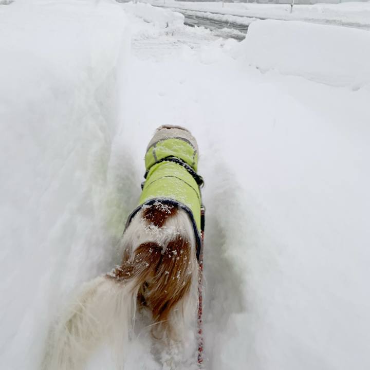 66857d51 f6e5 49e5 b565 5d4ee9ee65c5 1608072269051