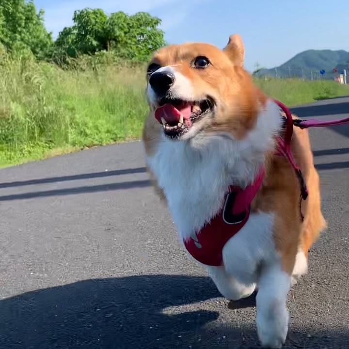 66858bdc b36d 44a1 8544 86922bcd14ab 1653864247906