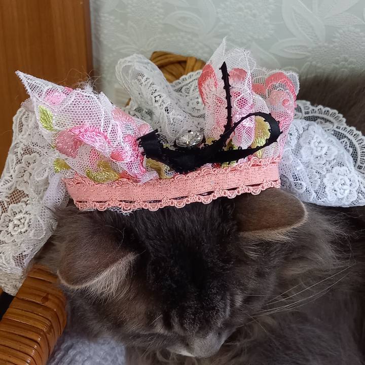 668595b4 7626 4a1d 8651 a86448bd9b8f 1634680704010