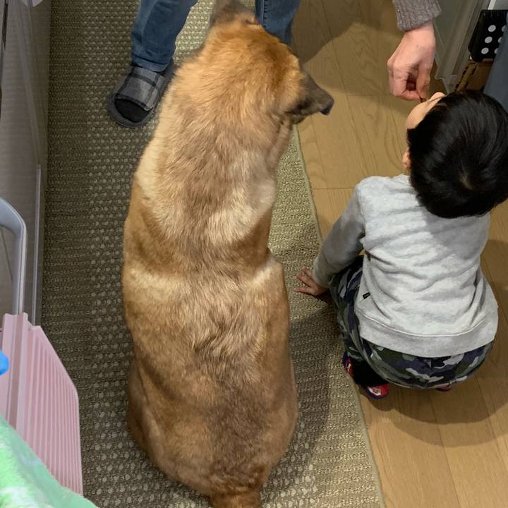 66859d17 c3e9 42fc 9152 91fb3bdb764a 1554019208328