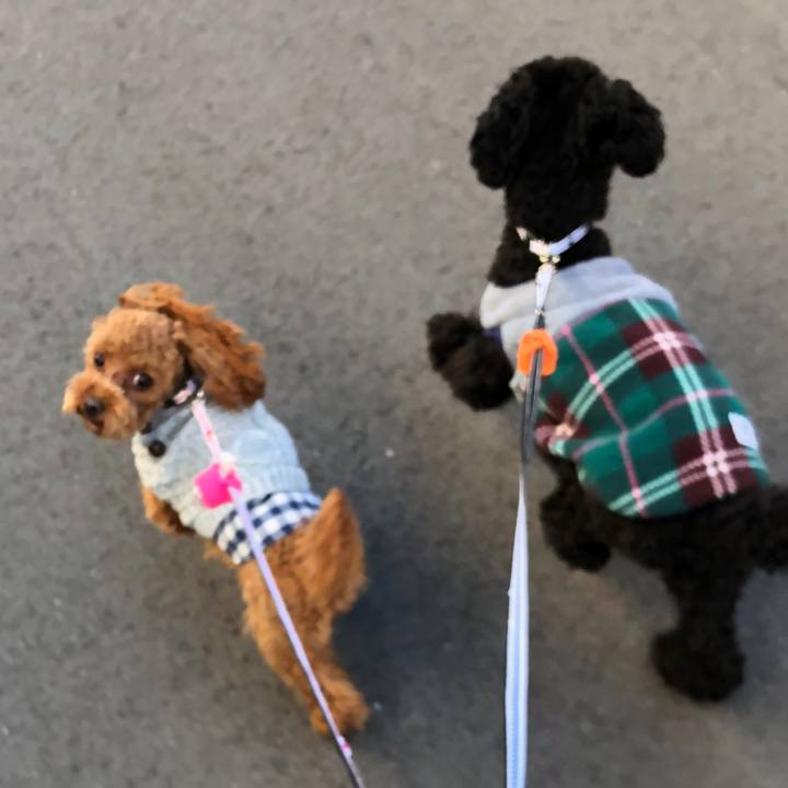 6685a26b fcd1 4729 bfa3 c96e3a85a627 1511570610987