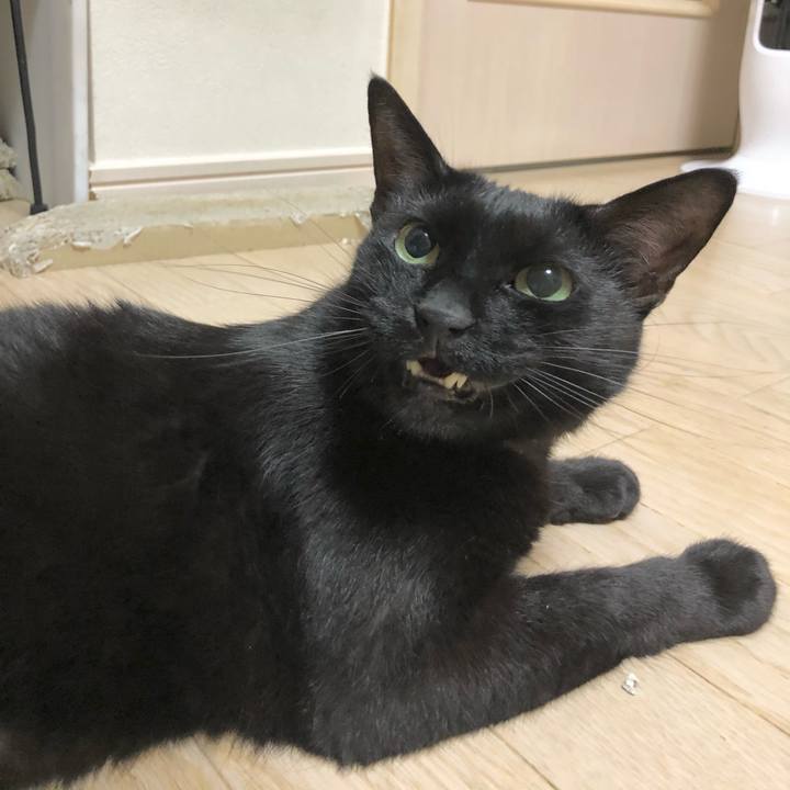 6685cc1c 26d7 4cd9 9431 7e84a3d5cd60 1622638661430