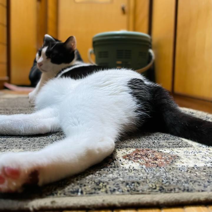 6685e972 1135 4593 ac74 586fc0da7abe 1635125866930