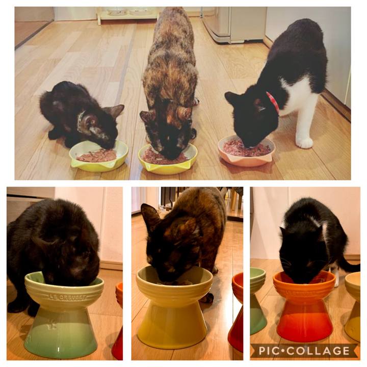 6685eb35 0ef5 4bcc 89cd 270dd1426987 1577277706258