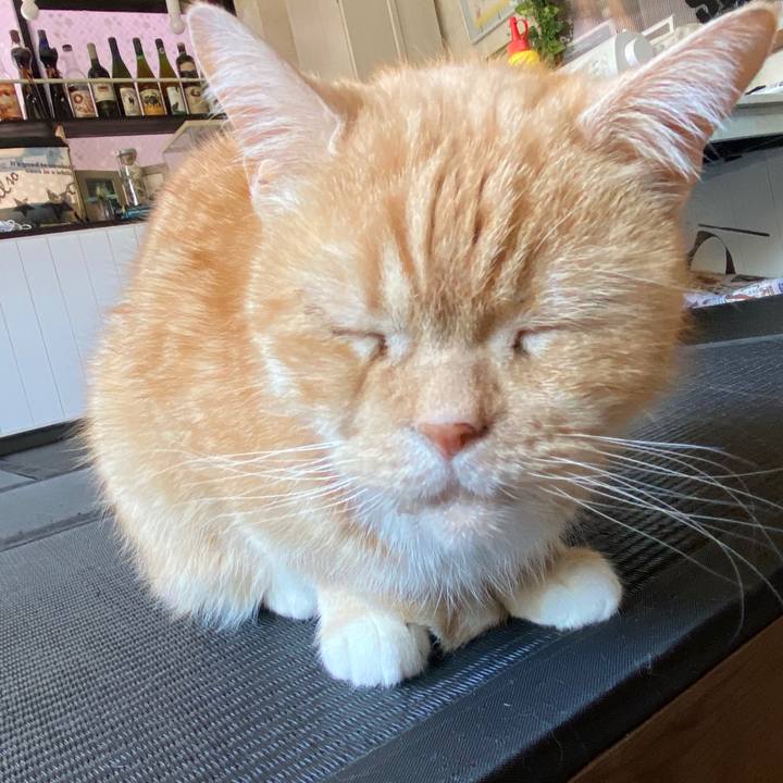 66865b95 9041 4b8d 98c3 5e2fd8f31f24 1587607709904