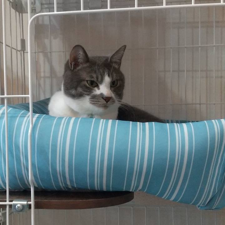 66866947 3a62 4051 97ab df08f08b9d1a 1646295849968